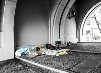 W jakim materacu są robaki?