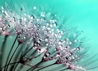 Czy kropelka przyklei magnes?