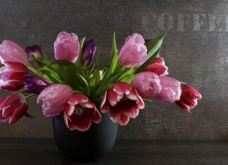 Czy sprężyny bonell skrzypią?