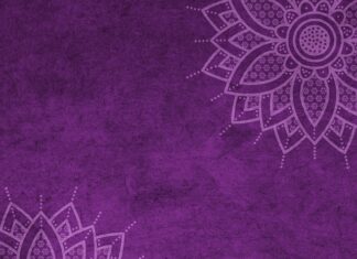 Ile wynosi mandat za brak kasku? Ile wynosi mandat za brak kasku?