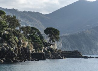 Ile kosztuje MRF 140? Ile kosztuje MRF 140?