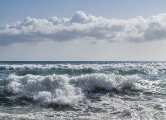 Jak utrwalić tymczasowy tatuaż?