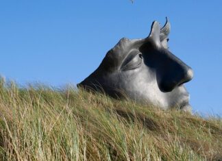 Jak uspokoić układ nerwowy dziecka? Jak uspokoić układ nerwowy dziecka?