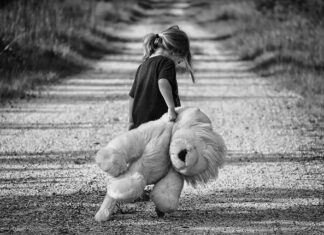 Czy miś to zabawka? Czy miś to zabawka?