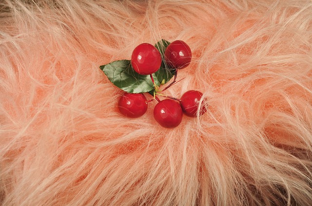 Co ochrania Mufka? Co ochrania Mufka?