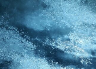 Co na której półce w lodówce? Co na której półce w lodówce?