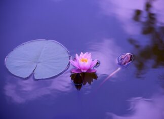 Kiedy jest dzień zabawek?