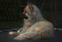 Ile osób może być na trampolinie?