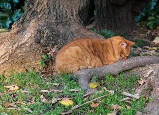 Co je 1 roczne dziecko? Co je 1 roczne dziecko?
