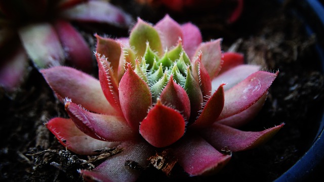 Jakiej grubości materac do gondoli? Jakiej grubości materac do gondoli?