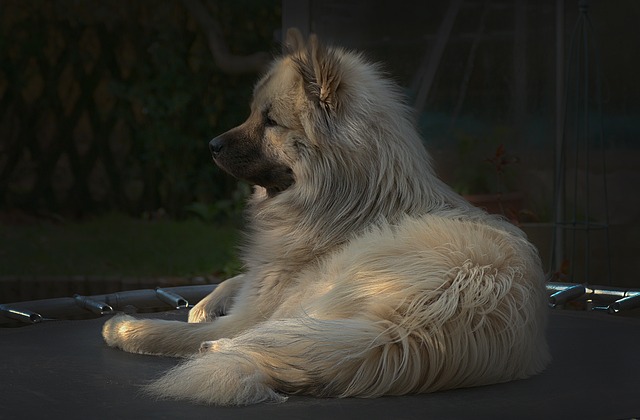 Czy skakanie na trampolinie jest zdrowe dla dzieci? Czy skakanie na trampolinie jest zdrowe dla dzieci?