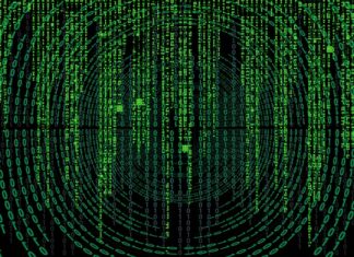 Skąd się wzięła nazwa Teddy Bear?