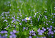 Jaka nagroda dla dziecka?