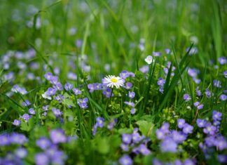 Jaka nagroda dla dziecka?