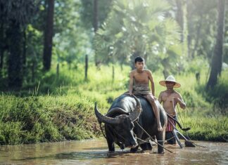 Czym pielęgnować noworodka po kąpieli?