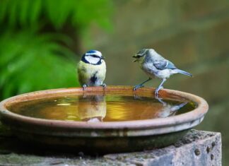 Ile mówi 19 miesięczne dziecko?