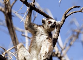 Jak rozmawiać z dzieckiem o jego złym zachowaniu?