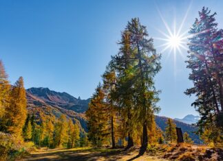 Jak zrobić masę kinetyczna?