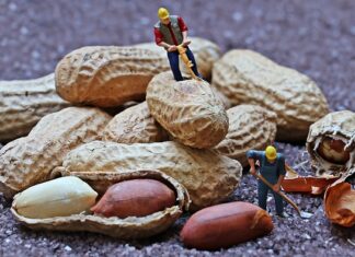 Dlaczego w przedszkolach Montessori dzieci pracują a nie bawią się?