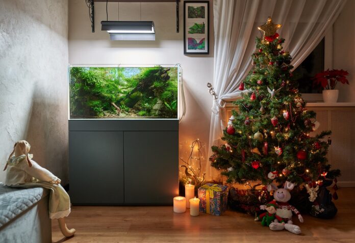 Glowing Christmas tree with aquascape aquarium. Toy rabbit looks Książka, gra, a może akwarium - pomysły na edukacyjny prezent dla dziecka